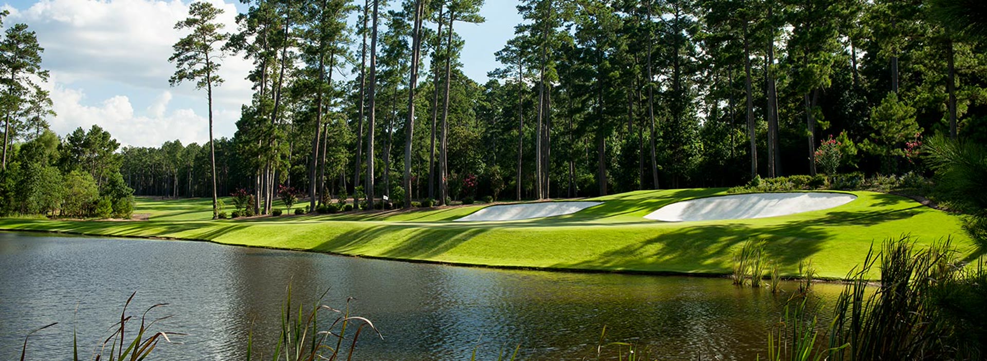 Golf course at golden hour