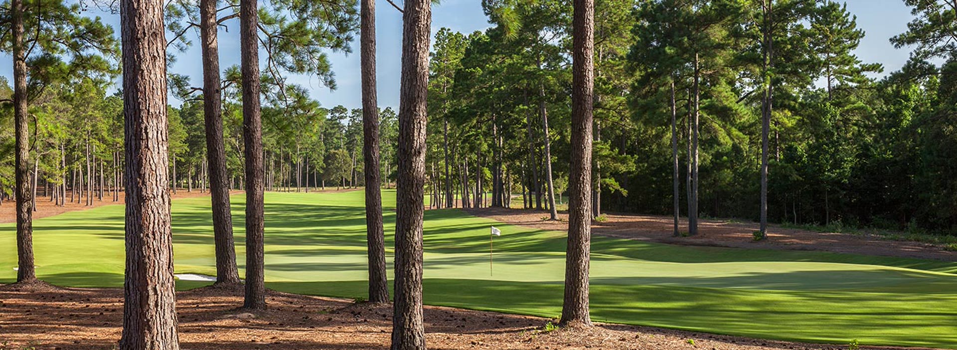 Bluejack National golf course at golden hour
